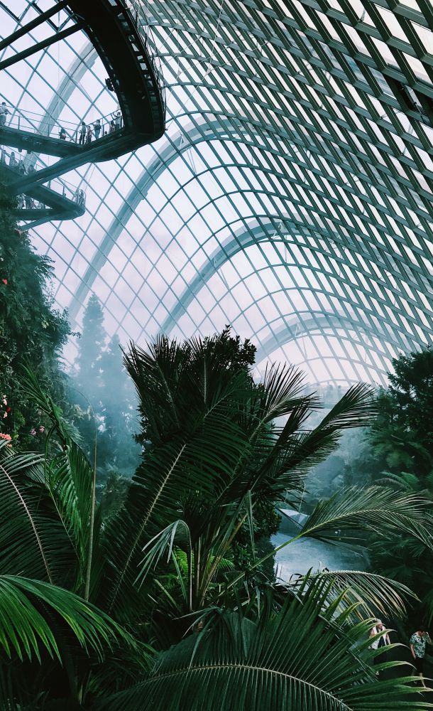 Humidification in greenhouses
